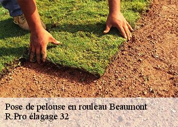 Pose de pelouse en rouleau  beaumont-32100 R.Pro élagage 32