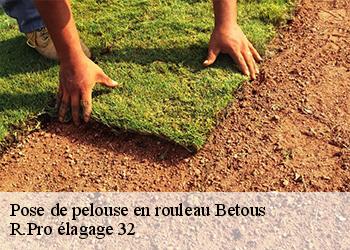 Pose de pelouse en rouleau  betous-32110 R.Pro élagage 32