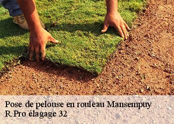 Pose de pelouse en rouleau  mansempuy-32120 R.Pro élagage 32