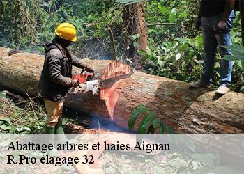 Abattage arbres et haies  aignan-32290 R.Pro élagage 32