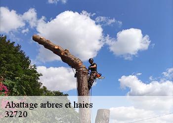 Abattage arbres et haies  32720