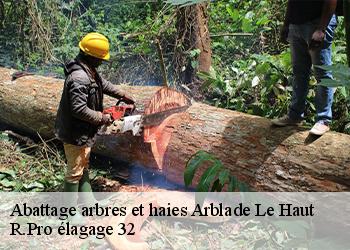 Abattage arbres et haies  arblade-le-haut-32110 R.Pro élagage 32