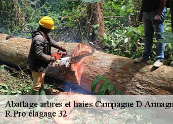 Abattage arbres et haies  campagne-d-armagnac-32800 R.Pro élagage 32