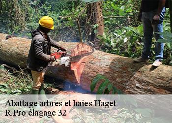 Abattage arbres et haies  haget-32730 R.Pro élagage 32