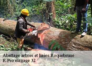 Abattage arbres et haies  roquebrune-32190 R.Pro élagage 32