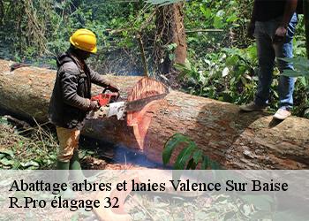 Abattage arbres et haies  valence-sur-baise-32310 R.Pro élagage 32