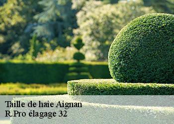 Taille de haie  aignan-32290 R.Pro élagage 32