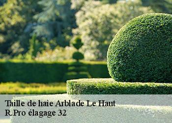 Taille de haie  arblade-le-haut-32110 R.Pro élagage 32