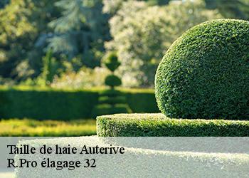 Taille de haie  auterive-32550 R.Pro élagage 32