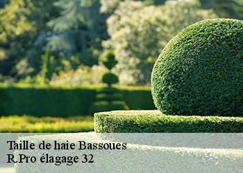 Taille de haie  bassoues-32320 R.Pro élagage 32