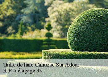 Taille de haie  cahuzac-sur-adour-32400 R.Pro élagage 32