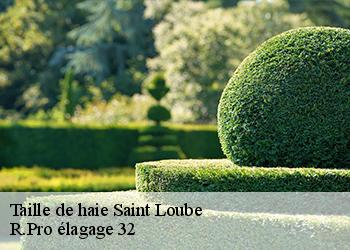 Taille de haie  saint-loube-32220 R.Pro élagage 32