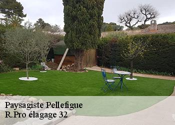 Paysagiste  pellefigue-32420 R.Pro élagage 32