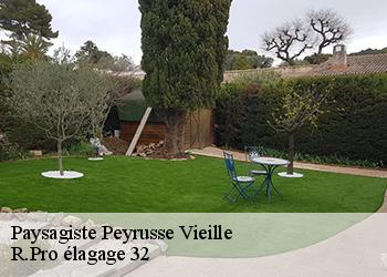 Paysagiste  peyrusse-vieille-32230 R.Pro élagage 32