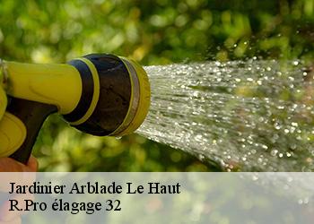 Jardinier  arblade-le-haut-32110 R.Pro élagage 32