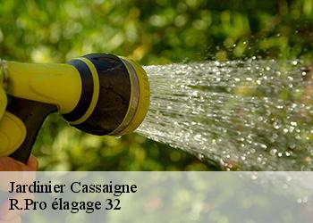 Jardinier  cassaigne-32100 R.Pro élagage 32