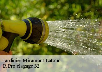 Jardinier  miramont-latour-32390 R.Pro élagage 32