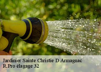 Jardinier  sainte-christie-d-armagnac-32370 R.Pro élagage 32