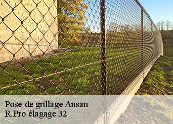 Pose de grillage  ansan-32270 R.Pro élagage 32