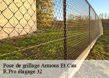 Pose de grillage  armous-et-cau-32230 R.Pro élagage 32