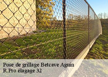 Pose de grillage  betcave-aguin-32420 R.Pro élagage 32