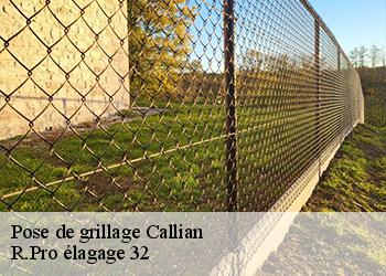 Pose de grillage  callian-32190 R.Pro élagage 32