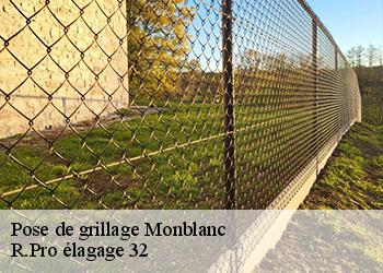 Pose de grillage  monblanc-32130 R.Pro élagage 32