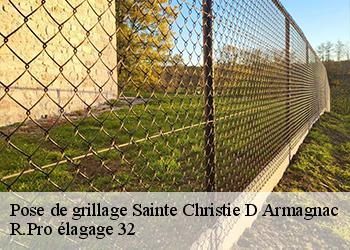 Pose de grillage  sainte-christie-d-armagnac-32370 R.Pro élagage 32