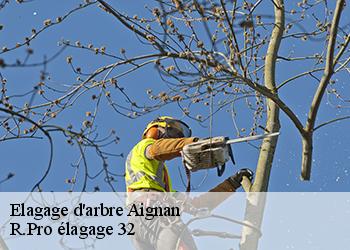 Elagage d'arbre  aignan-32290 R.Pro élagage 32