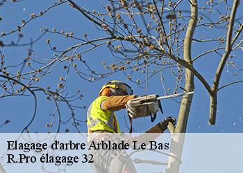 Elagage d'arbre  arblade-le-bas-32720 R.Pro élagage 32