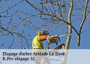 Elagage d'arbre  arblade-le-haut-32110 R.Pro élagage 32