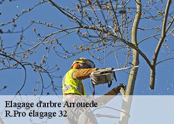 Elagage d'arbre  arrouede-32140 R.Pro élagage 32