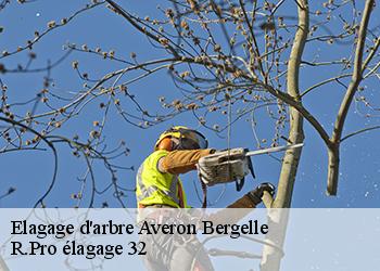 Elagage d'arbre  averon-bergelle-32290 R.Pro élagage 32