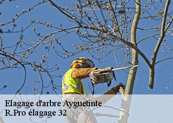 Elagage d'arbre  ayguetinte-32410 R.Pro élagage 32
