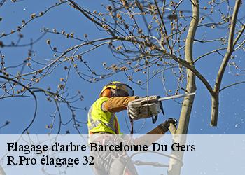 Elagage d'arbre  barcelonne-du-gers-32720 R.Pro élagage 32