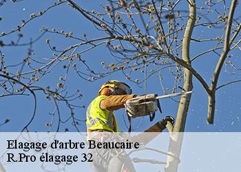 Elagage d'arbre  beaucaire-32410 R.Pro élagage 32