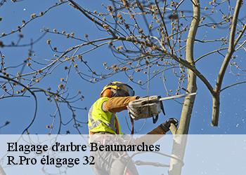 Elagage d'arbre  beaumarches-32160 R.Pro élagage 32