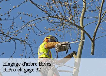 Elagage d'arbre  bives-32380 R.Pro élagage 32