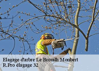 Elagage d'arbre  le-brouilh-monbert-32350 R.Pro élagage 32
