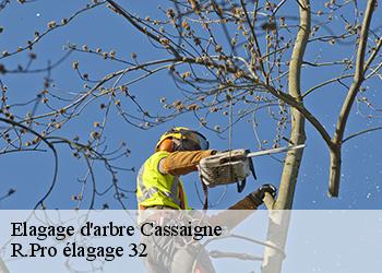 Elagage d'arbre  cassaigne-32100 R.Pro élagage 32