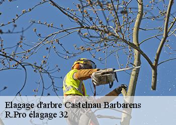 Elagage d'arbre  castelnau-barbarens-32450 R.Pro élagage 32