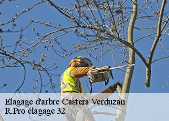 Elagage d'arbre  castera-verduzan-32410 R.Pro élagage 32