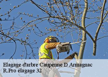 Elagage d'arbre  caupenne-d-armagnac-32110 R.Pro élagage 32