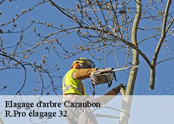 Elagage d'arbre  cazaubon-32150 R.Pro élagage 32