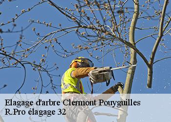 Elagage d'arbre  clermont-pouyguilles-32300 R.Pro élagage 32