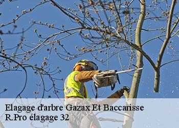 Elagage d'arbre  gazax-et-baccarisse-32230 R.Pro élagage 32