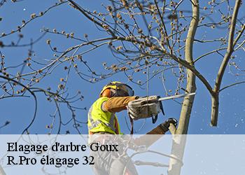 Elagage d'arbre  goux-32400 R.Pro élagage 32