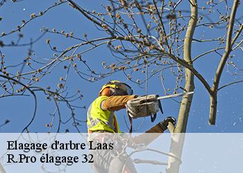 Elagage d'arbre  laas-32170 R.Pro élagage 32