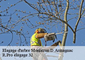 Elagage d'arbre  monlezun-d-armagnac-32240 R.Pro élagage 32
