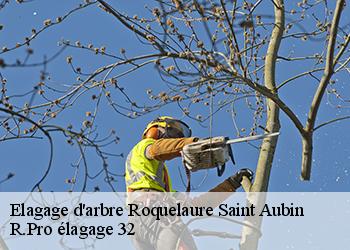 Elagage d'arbre  roquelaure-saint-aubin-32430 R.Pro élagage 32